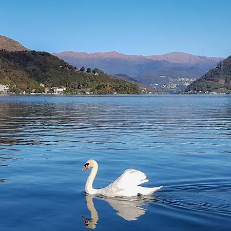 Lejlighed Major Sisters, Vista Di Lugano *